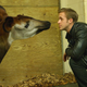 Illustration for article titled Ryan Gosling Plays With Adorable Animals In Continued Effort To Fuck With Us